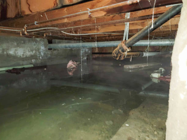 Water damage restoration experts in Crooked River Ranch, OR