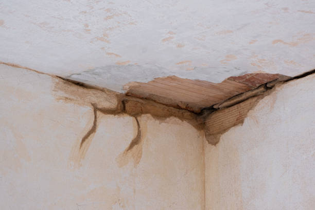 Best Local water damage restoration  in Crooked River Ranch, OR