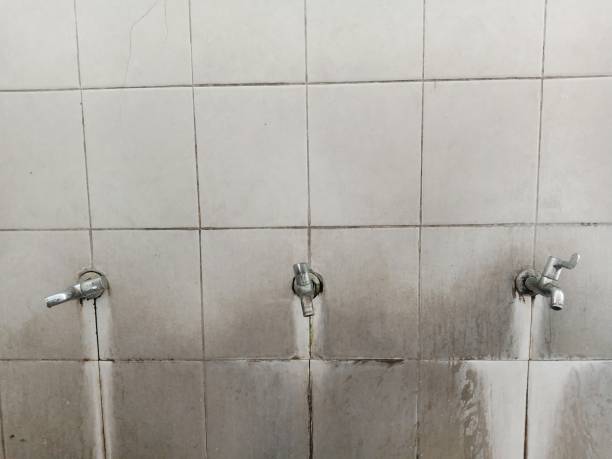 Best Mold removal after water damage  in Crooked River Ranch, OR